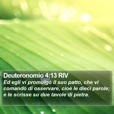Deuteronomio 4:13 RIV Bible Verse Image