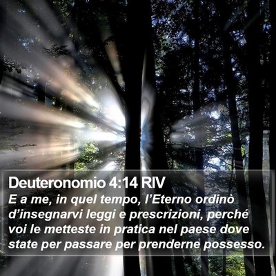 Deuteronomio 4:14 RIV Bible Verse Image
