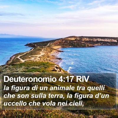 Deuteronomio 4:17 RIV Bible Verse Image