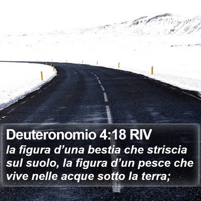 Deuteronomio 4:18 RIV Bible Verse Image
