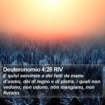 Deuteronomio 4:28 RIV Bible Verse Image
