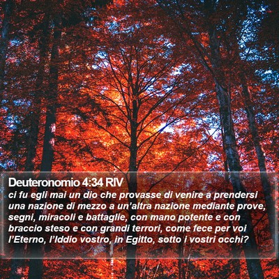 Deuteronomio 4:34 RIV Bible Verse Image