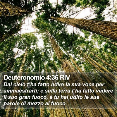 Deuteronomio 4:36 RIV Bible Verse Image