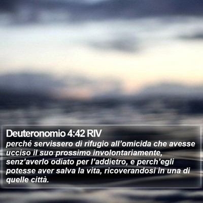 Deuteronomio 4:42 RIV Bible Verse Image