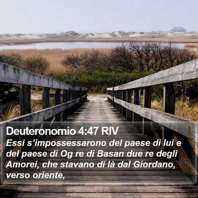 Deuteronomio 4:47 RIV Bible Verse Image