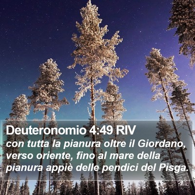 Deuteronomio 4:49 RIV Bible Verse Image