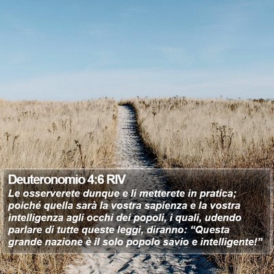 Deuteronomio 4:6 RIV Bible Verse Image