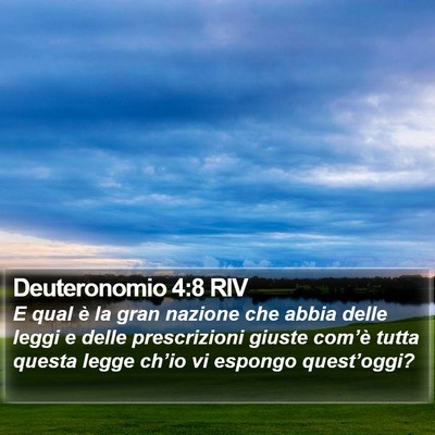 Deuteronomio 4:8 RIV Bible Verse Image