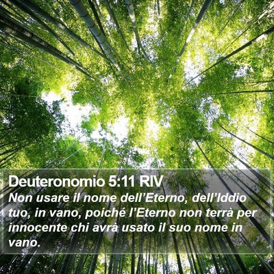 Deuteronomio 5:11 RIV Bible Verse Image