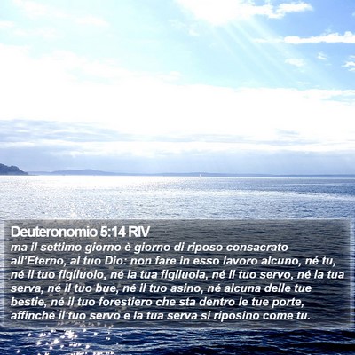 Deuteronomio 5:14 RIV Bible Verse Image