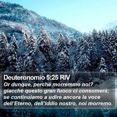 Deuteronomio 5:25 RIV Bible Verse Image