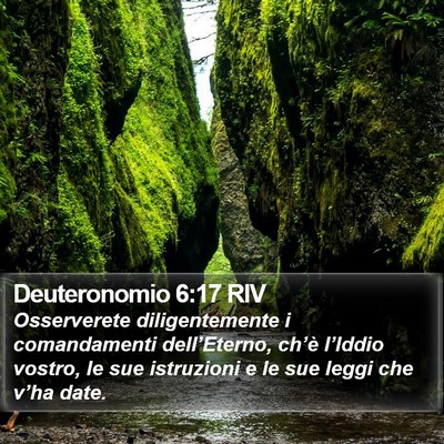 Deuteronomio 6:17 RIV Bible Verse Image