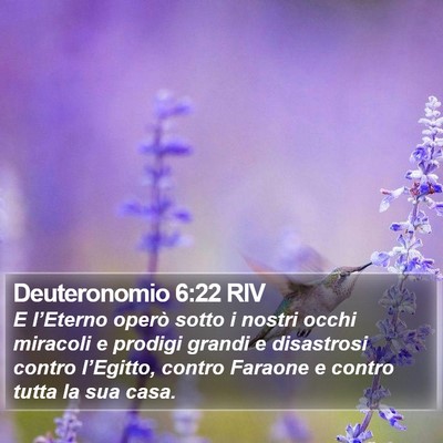 Deuteronomio 6:22 RIV Bible Verse Image