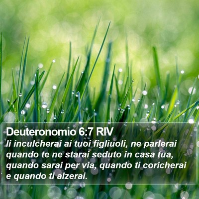 Deuteronomio 6:7 RIV Bible Verse Image