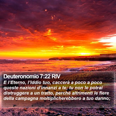 Deuteronomio 7:22 RIV Bible Verse Image