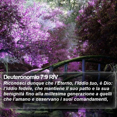 Deuteronomio 7:9 RIV Bible Verse Image
