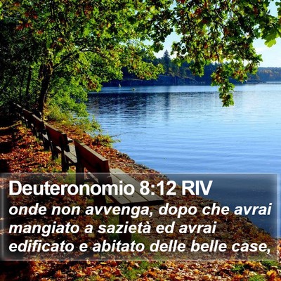 Deuteronomio 8:12 RIV Bible Verse Image