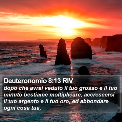 Deuteronomio 8:13 RIV Bible Verse Image