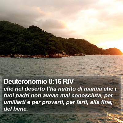 Deuteronomio 8:16 RIV Bible Verse Image