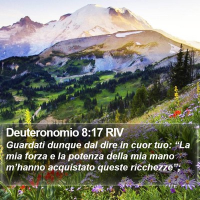 Deuteronomio 8:17 RIV Bible Verse Image