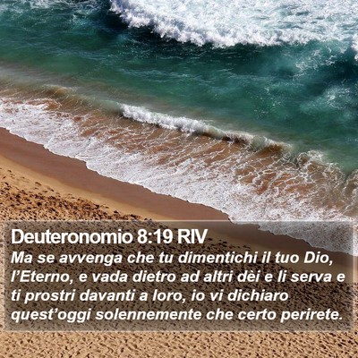 Deuteronomio 8:19 RIV Bible Verse Image