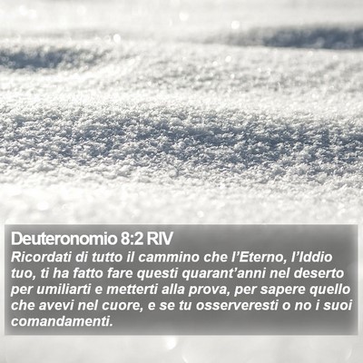Deuteronomio 8:2 RIV Bible Verse Image