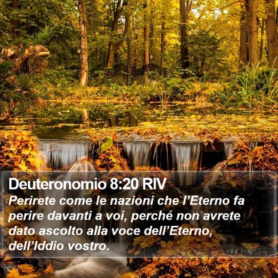 Deuteronomio 8:20 RIV Bible Verse Image