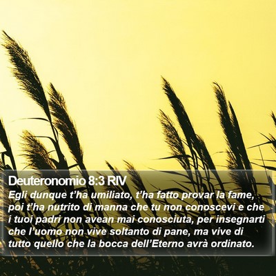 Deuteronomio 8:3 RIV Bible Verse Image