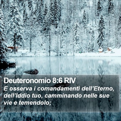 Deuteronomio 8:6 RIV Bible Verse Image