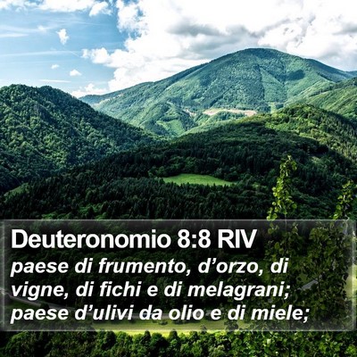 Deuteronomio 8:8 RIV Bible Verse Image