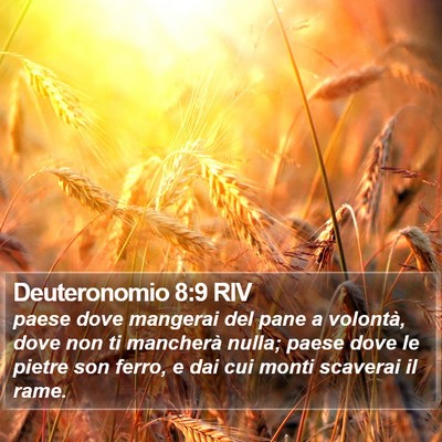 Deuteronomio 8:9 RIV Bible Verse Image