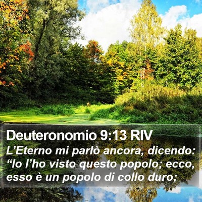 Deuteronomio 9:13 RIV Bible Verse Image
