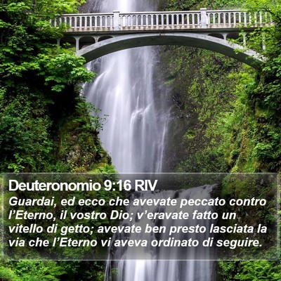 Deuteronomio 9:16 RIV Bible Verse Image