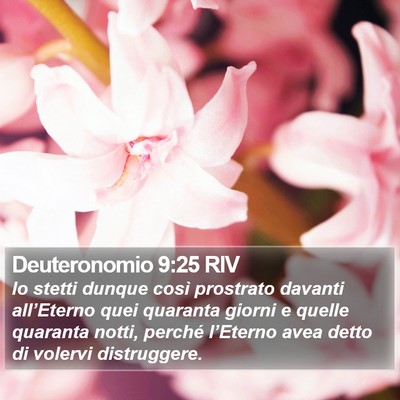 Deuteronomio 9:25 RIV Bible Verse Image