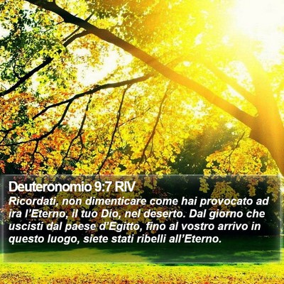 Deuteronomio 9:7 RIV Bible Verse Image