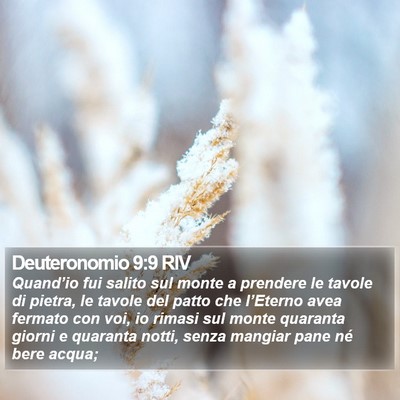 Deuteronomio 9:9 RIV Bible Verse Image