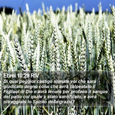 Ebrei 10:29 RIV Bible Verse Image