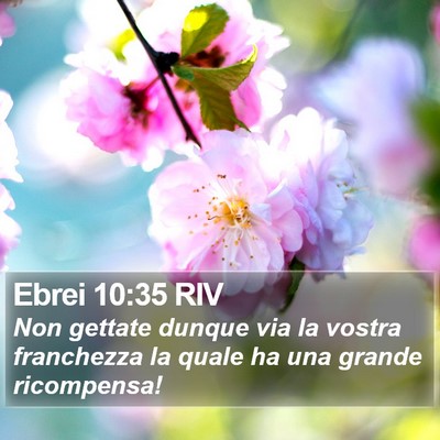 Ebrei 10:35 RIV Bible Verse Image