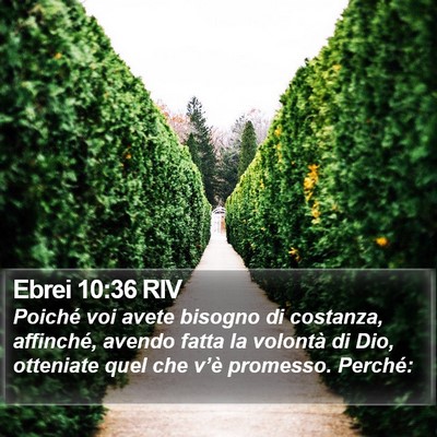 Ebrei 10:36 RIV Bible Verse Image