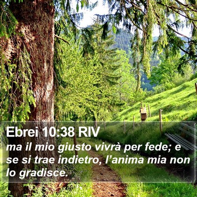 Ebrei 10:38 RIV Bible Verse Image
