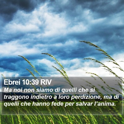 Ebrei 10:39 RIV Bible Verse Image