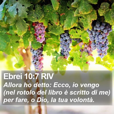 Ebrei 10:7 RIV Bible Verse Image