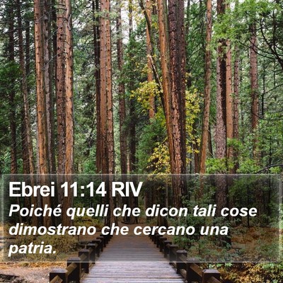 Ebrei 11:14 RIV Bible Verse Image