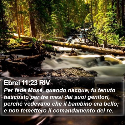 Ebrei 11:23 RIV Bible Verse Image