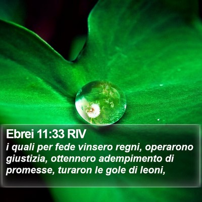 Ebrei 11:33 RIV Bible Verse Image