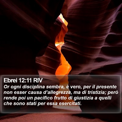 Ebrei 12:11 RIV Bible Verse Image