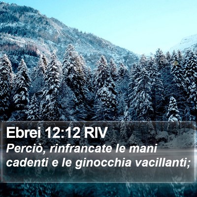 Ebrei 12:12 RIV Bible Verse Image