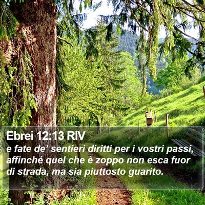 Ebrei 12:13 RIV Bible Verse Image