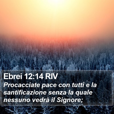 Ebrei 12:14 RIV Bible Verse Image