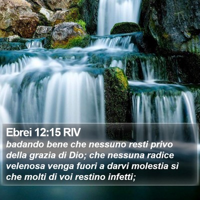 Ebrei 12:15 RIV Bible Verse Image